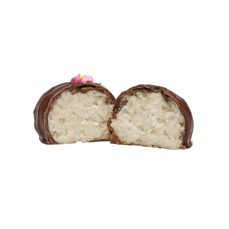 8 oz. Dark Chocolate Coconut Cream Egg