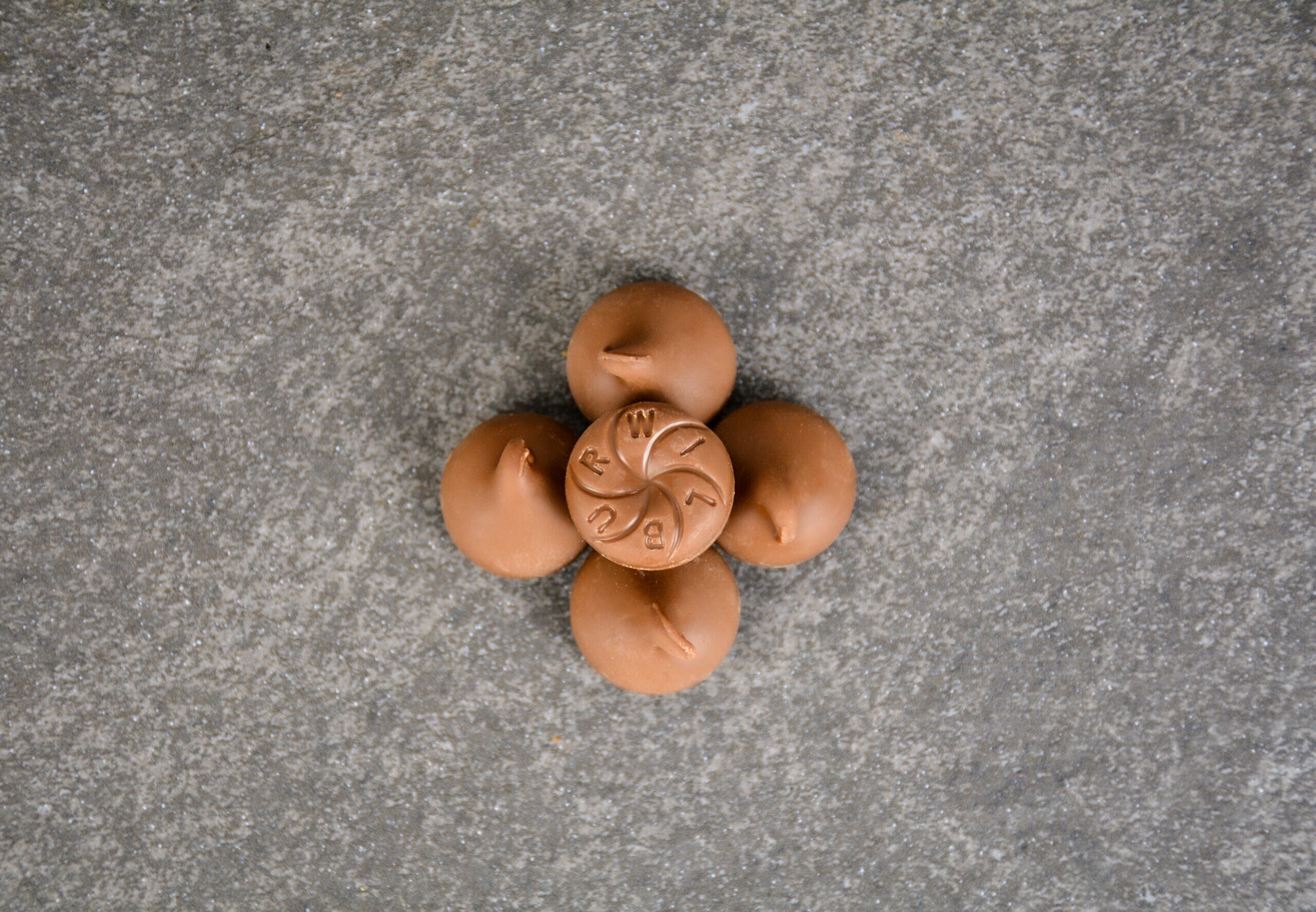 milk chocolate wilbur buds