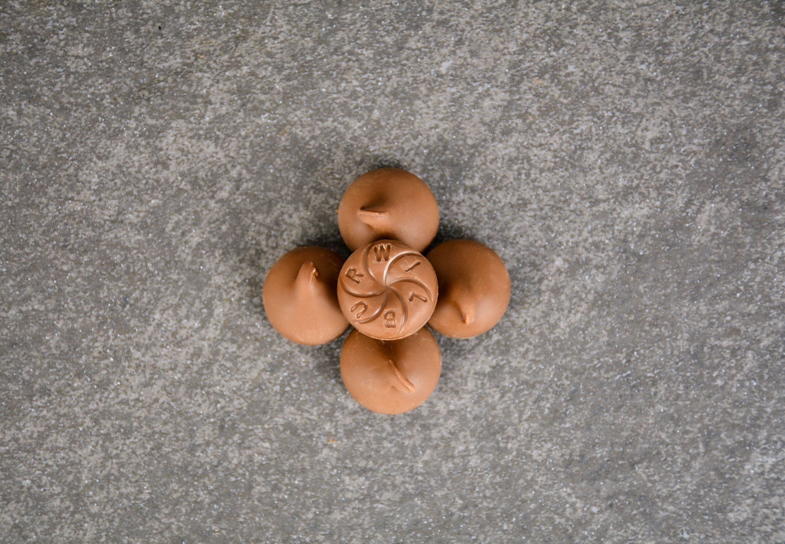 milk chocolate wilbur buds