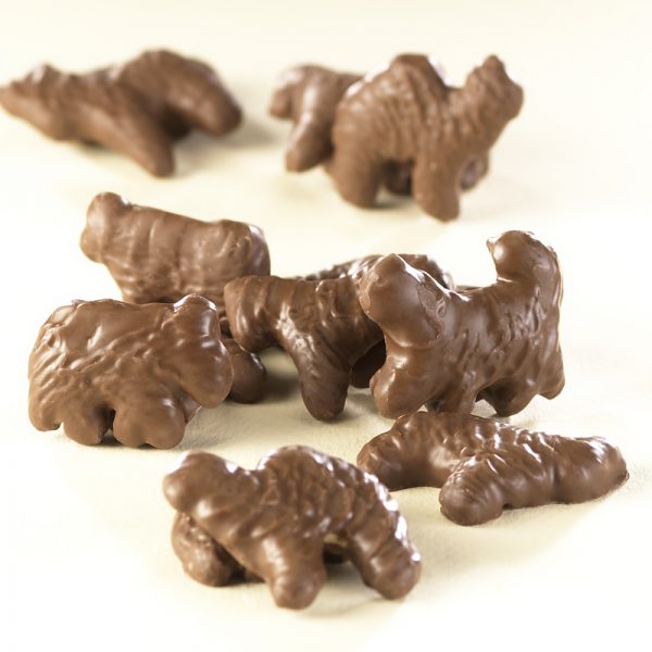 Chester's Critters Milk Chocolate (Animal Crackers) are scattered on white background to reveal size, shape, color, and texture of cookies.