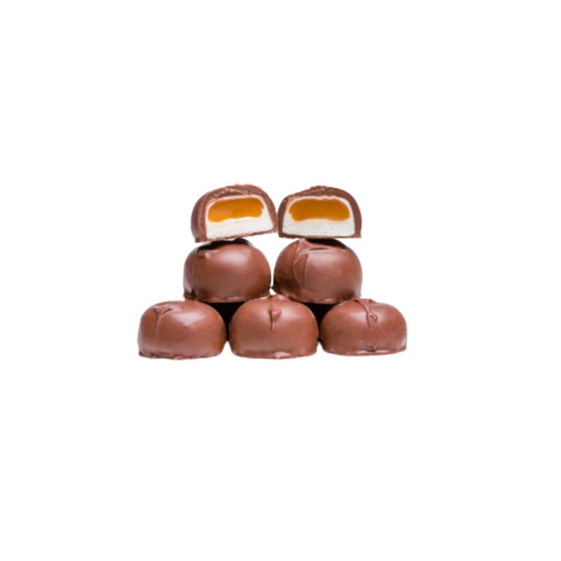 Signature Salted Caramel Milk Chocolate Mini Bars, Set of 12