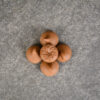 milk chocolate wilbur buds