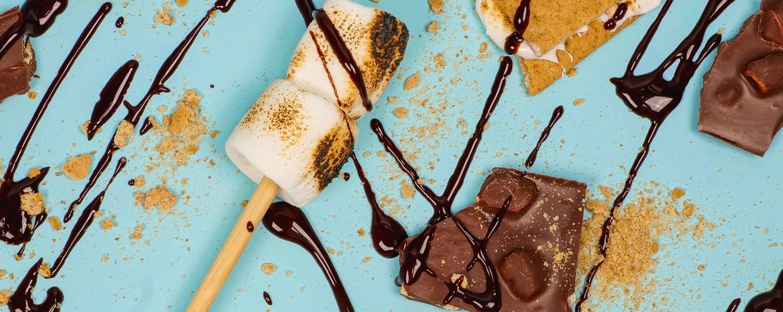 Two toasted marshmallows on a wooden skewer surrounded by pieces of chocolate, graham cracker crumbs, and drizzles of chocolate syrup on a light blue background.