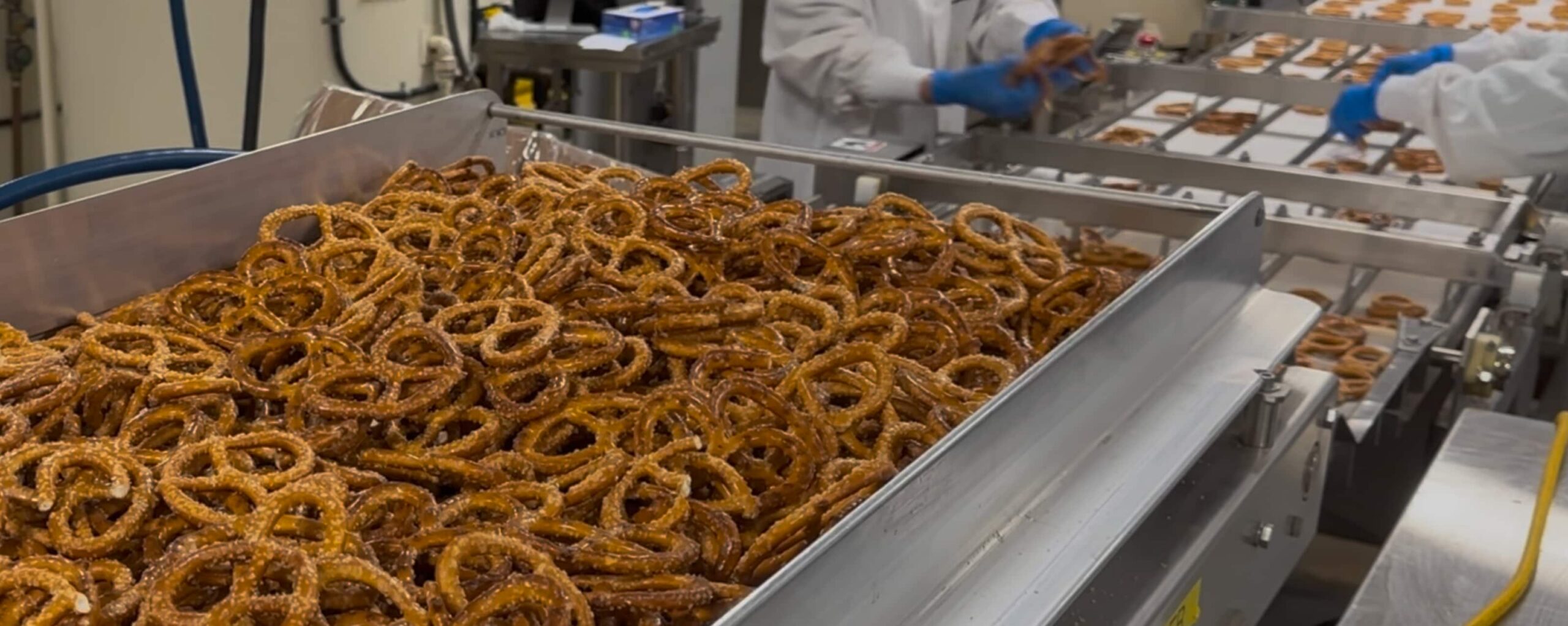 A large metal hopper filled with salted pretzels, with factory workers in the background sorting pretzels on a conveyor belt.